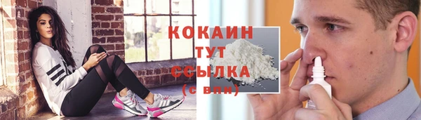 ешки Инта