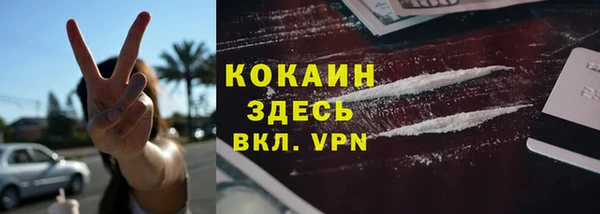 ешки Инта