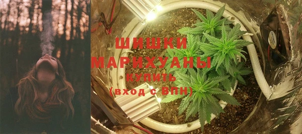 прущие крисы Каменка