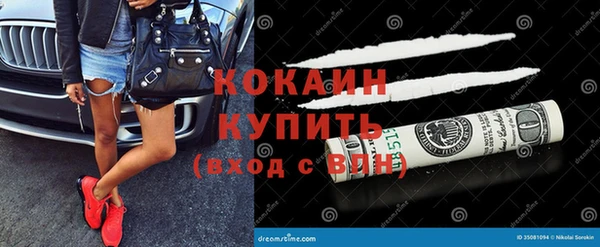 ешки Инта