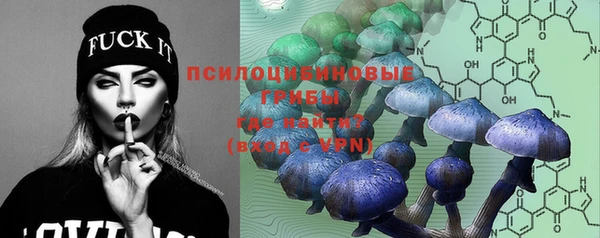 прущая мука Инсар