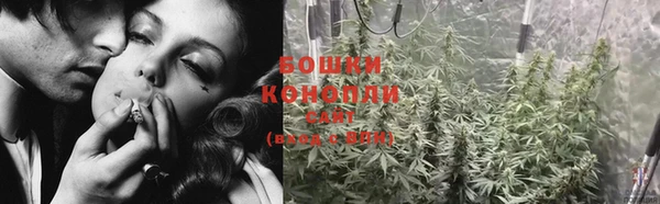 прущие крисы Каменка