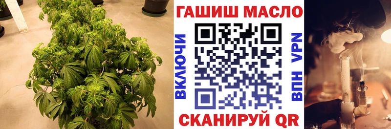 ТГК концентрат Корсаков