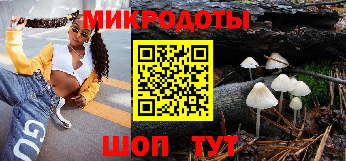 Псилоцибиновые грибы Psilocybine cubensis Корсаков