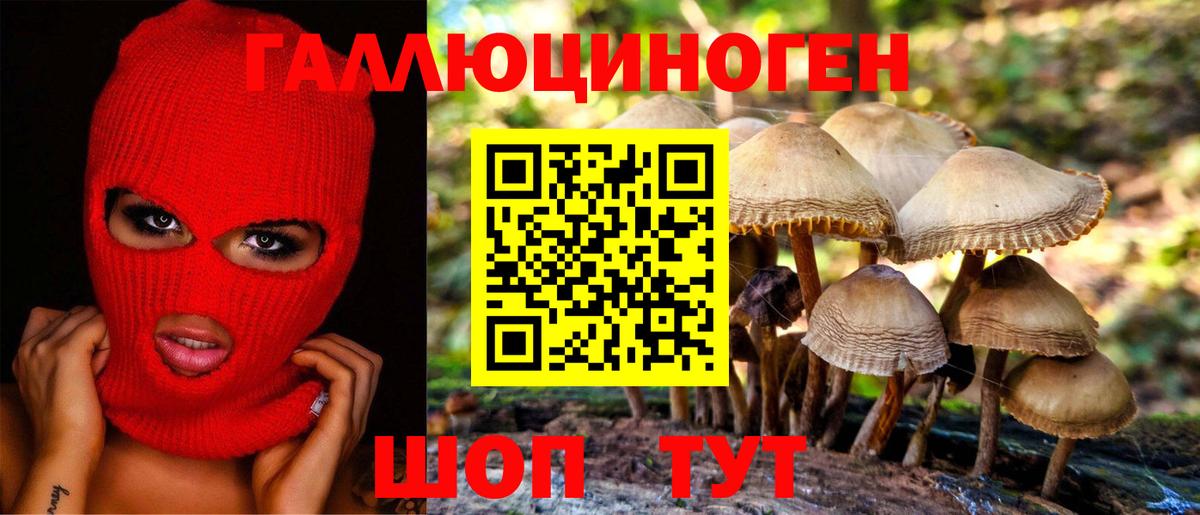 Корсаков  Псилоцибиновые грибы прущие грибы  Вход с VPN  Галлюциногенные грибы Psilocybine cubensis 
