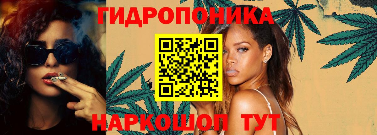 Бошки марихуана план  Конопля сатива  Каннабис планчик  Корсаков  Бошки марихуана сатива  Вход с VPN 